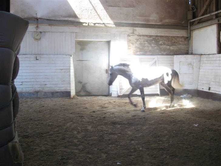 Charme, Selvtillid & Lækkert hår :P billede 28