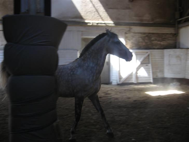 Charme, Selvtillid & Lækkert hår :P billede 29