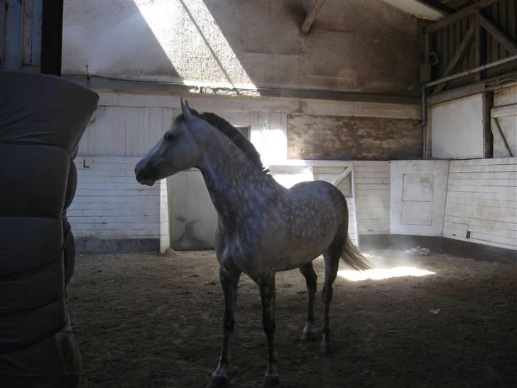 Charme, Selvtillid & Lækkert hår :P billede 30