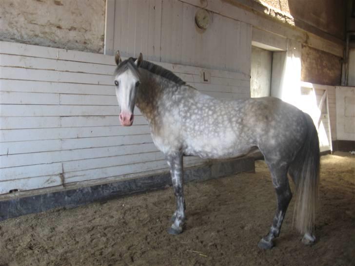 Charme, Selvtillid & Lækkert hår :P billede 31