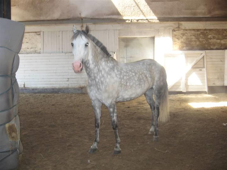 Charme, Selvtillid & Lækkert hår :P billede 32