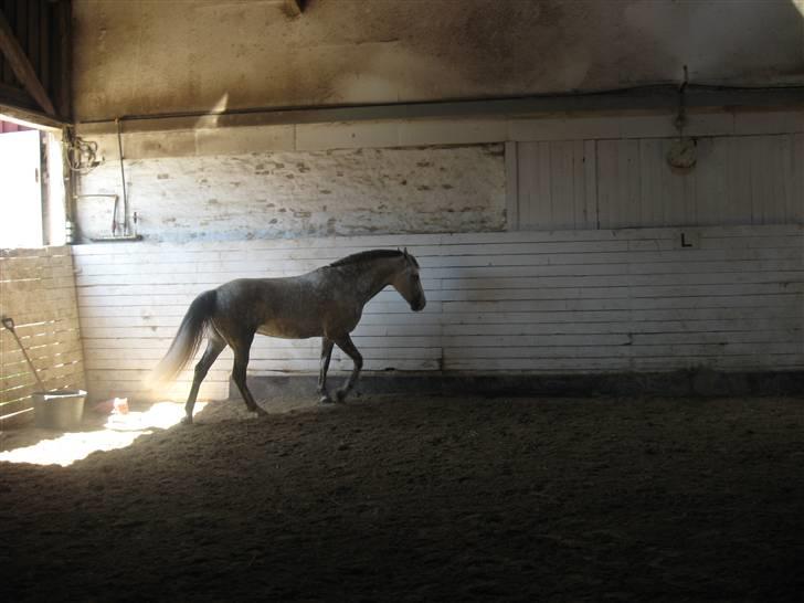 Charme, Selvtillid & Lækkert hår :P billede 33