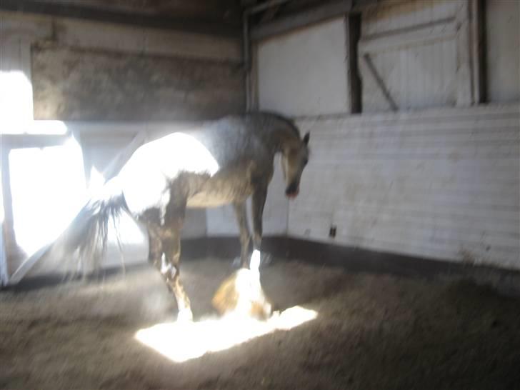 Charme, Selvtillid & Lækkert hår :P billede 34