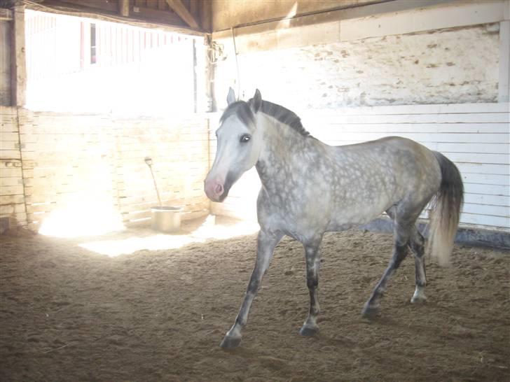 Charme, Selvtillid & Lækkert hår :P billede 35