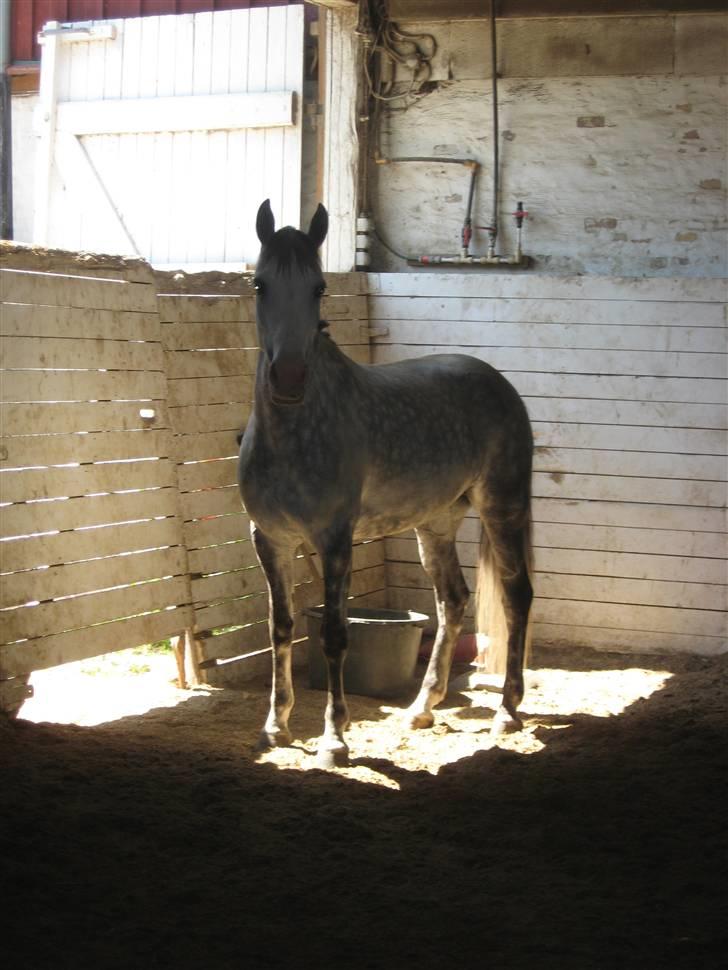 Charme, Selvtillid & Lækkert hår :P billede 37