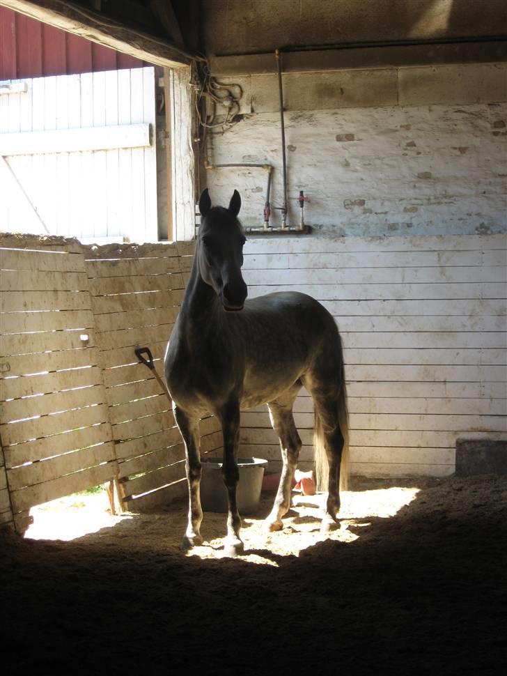 Charme, Selvtillid & Lækkert hår :P billede 40