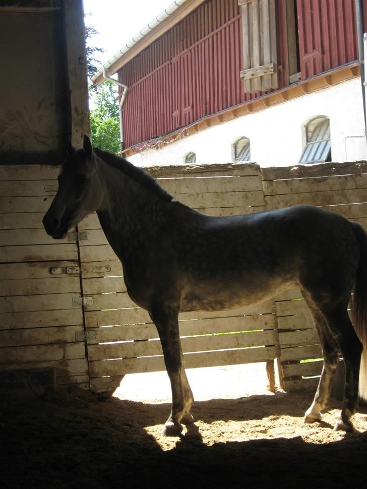 Charme, Selvtillid & Lækkert hår :P billede 41