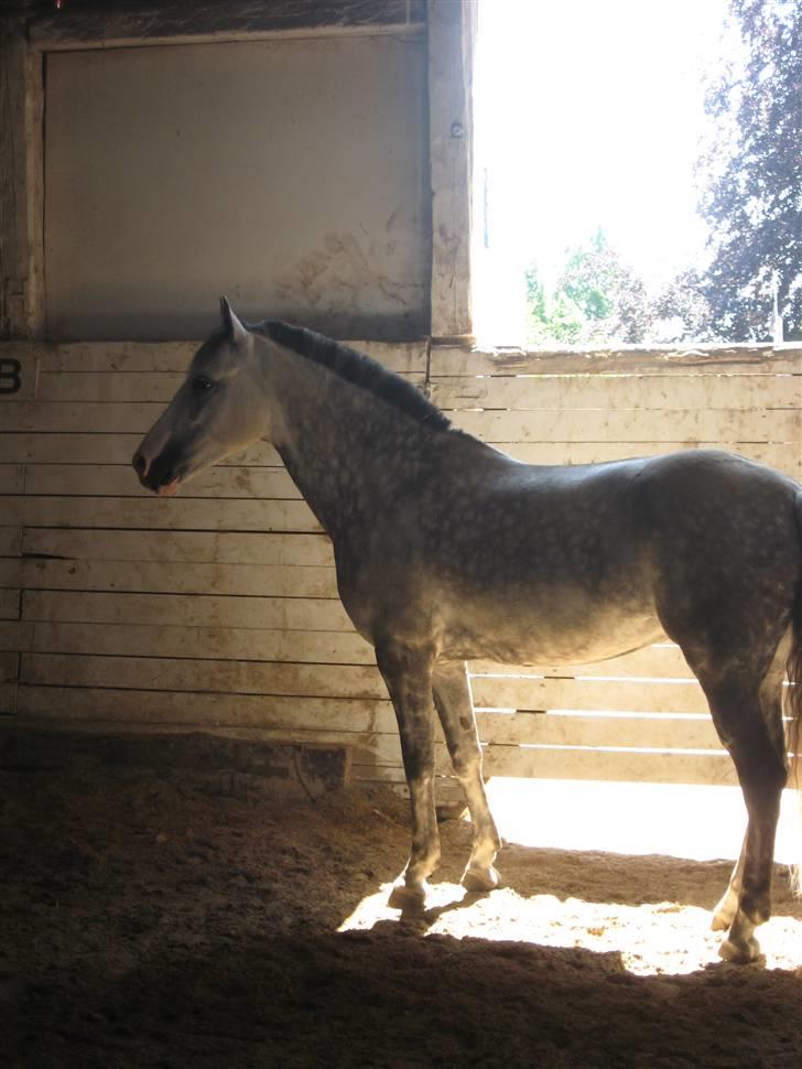 Charme, Selvtillid & Lækkert hår :P billede 42