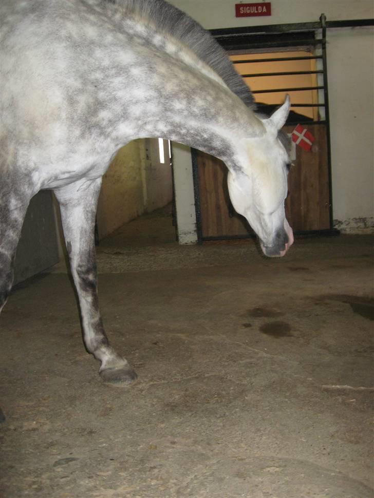 Charme, Selvtillid & Lækkert hår :P billede 43