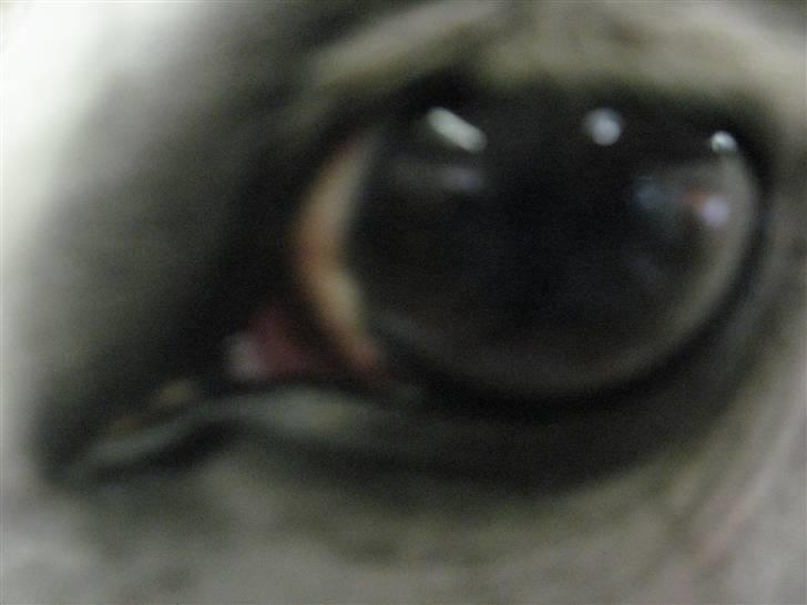 Charme, Selvtillid & Lækkert hår :P billede 44