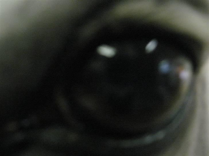 Charme, Selvtillid & Lækkert hår :P billede 45