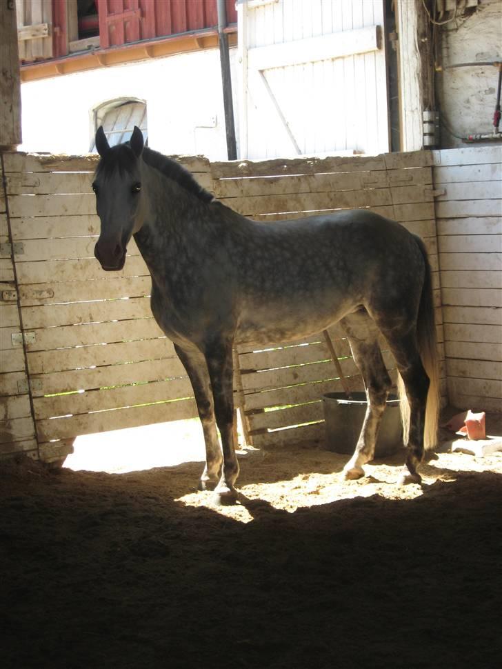 Charme, Selvtillid & Lækkert hår :P billede 46