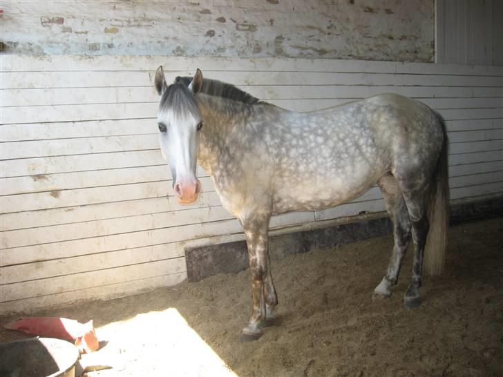 Charme, Selvtillid & Lækkert hår :P billede 47