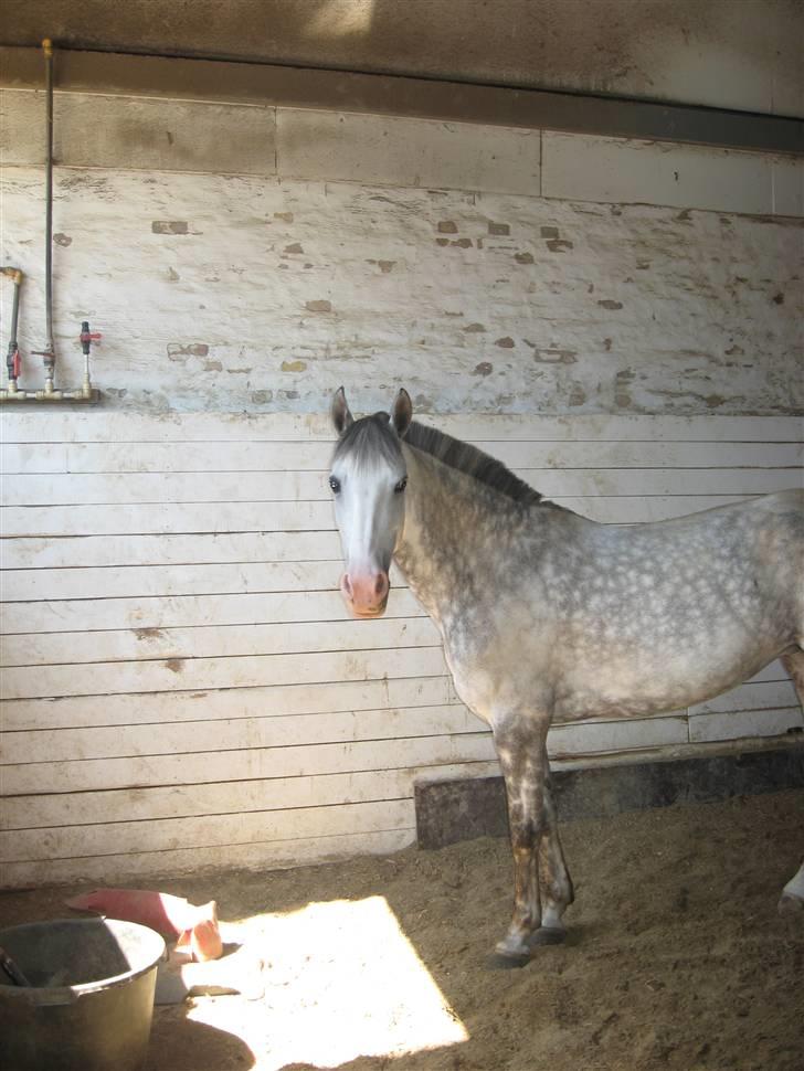 Charme, Selvtillid & Lækkert hår :P billede 48