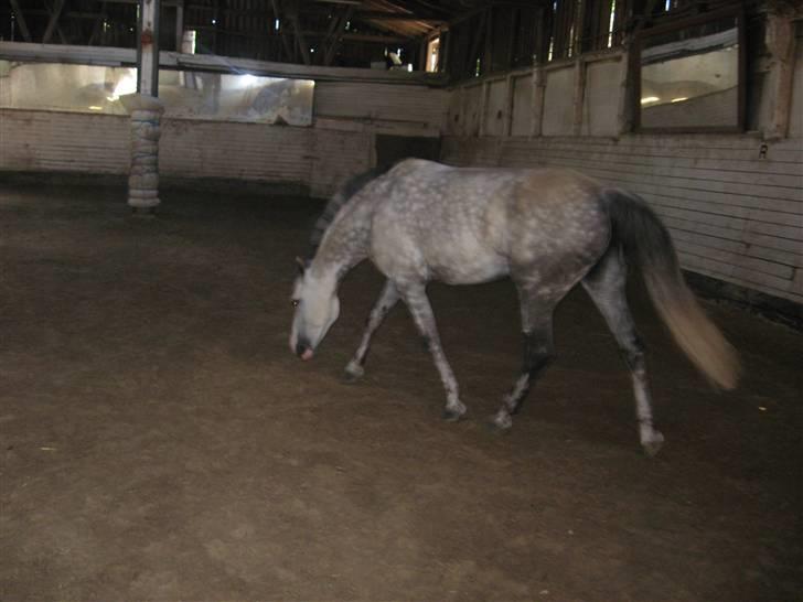 Charme, Selvtillid & Lækkert hår :P billede 49