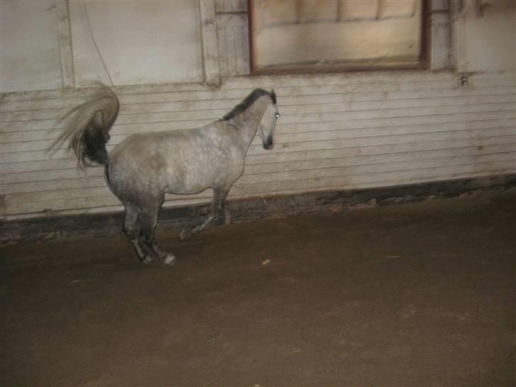 Charme, Selvtillid & Lækkert hår :P billede 50