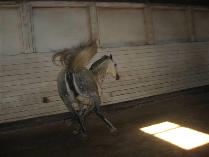 Charme, Selvtillid & Lækkert hår :P billede 51