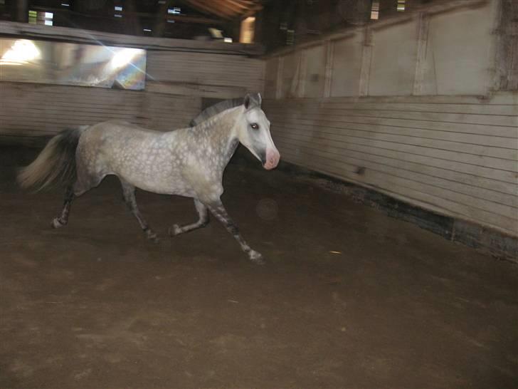 Charme, Selvtillid & Lækkert hår :P billede 52