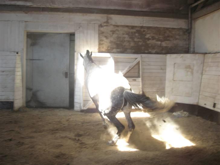 Charme, Selvtillid & Lækkert hår :P billede 53