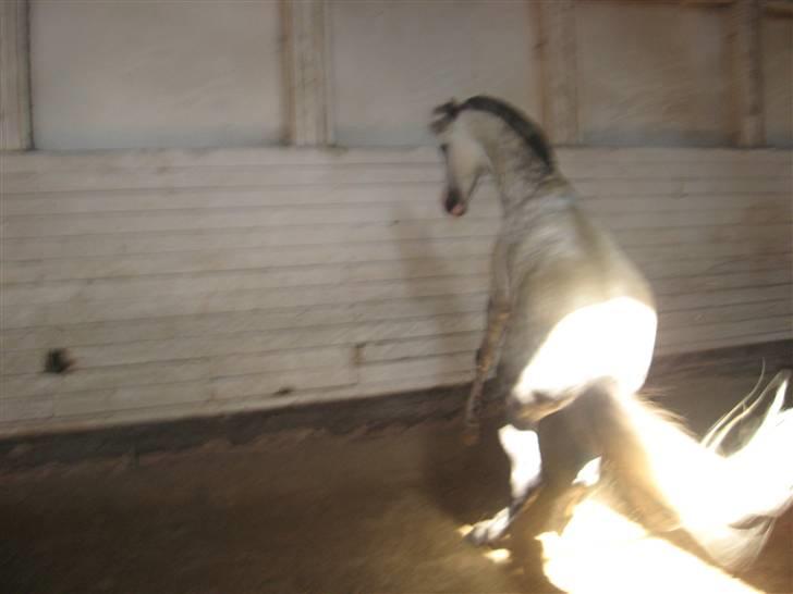 Charme, Selvtillid & Lækkert hår :P billede 54