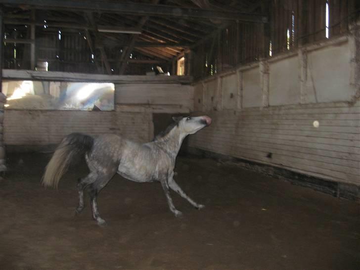 Charme, Selvtillid & Lækkert hår :P billede 55