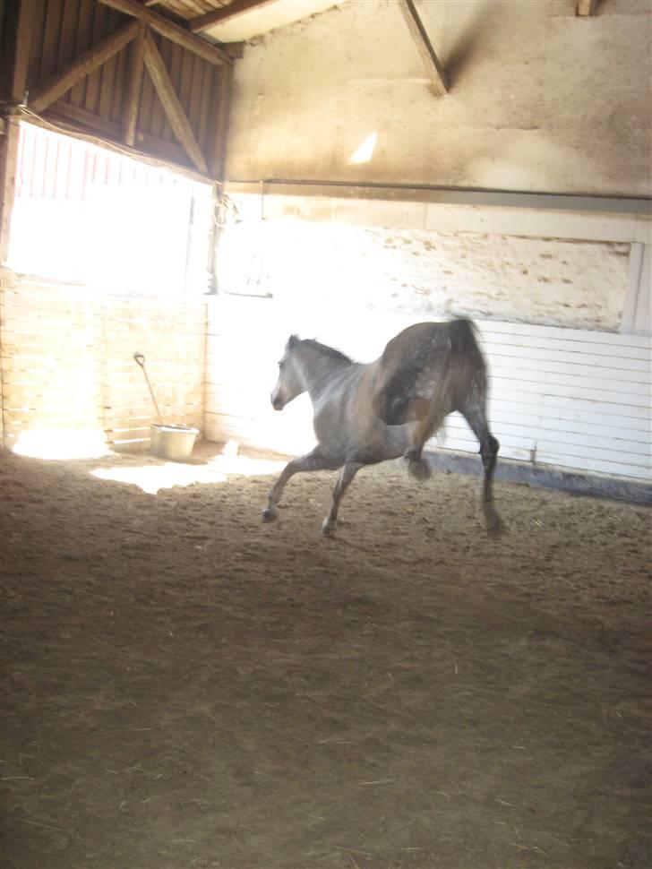 Charme, Selvtillid & Lækkert hår :P billede 56