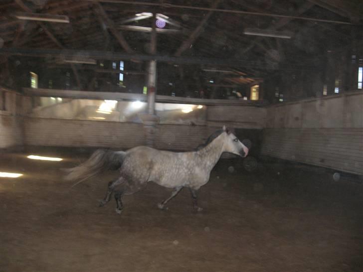 Charme, Selvtillid & Lækkert hår :P billede 57