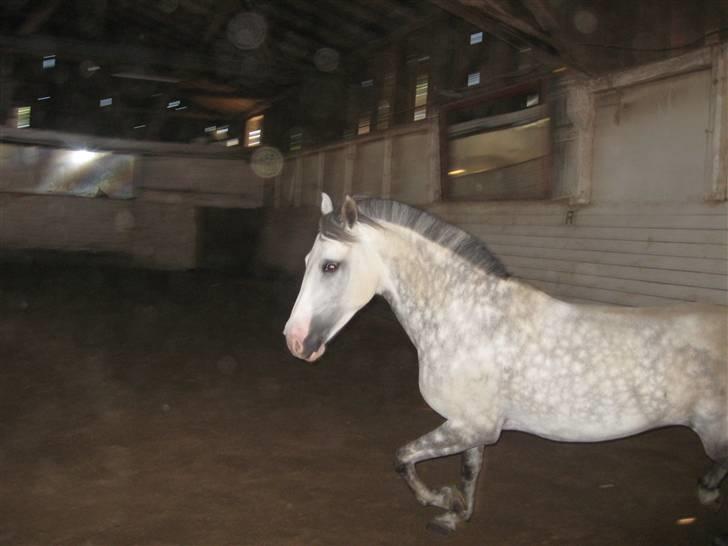 Charme, Selvtillid & Lækkert hår :P billede 58