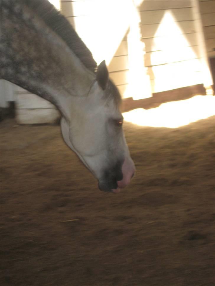 Charme, Selvtillid & Lækkert hår :P billede 61