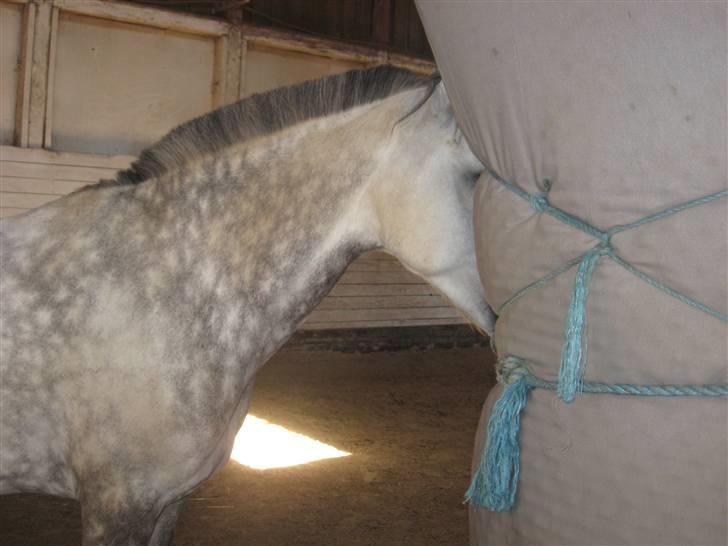 Charme, Selvtillid & Lækkert hår :P billede 62