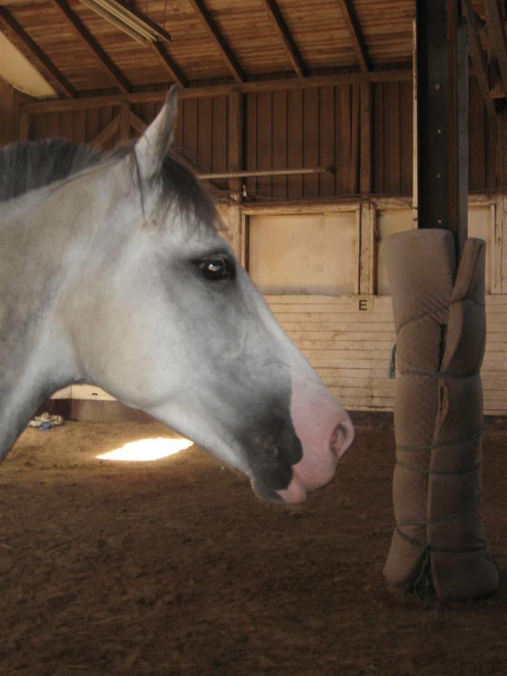 Charme, Selvtillid & Lækkert hår :P billede 63