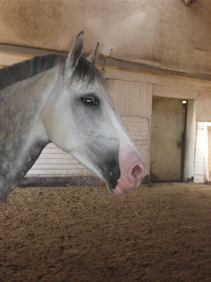 Charme, Selvtillid & Lækkert hår :P billede 64