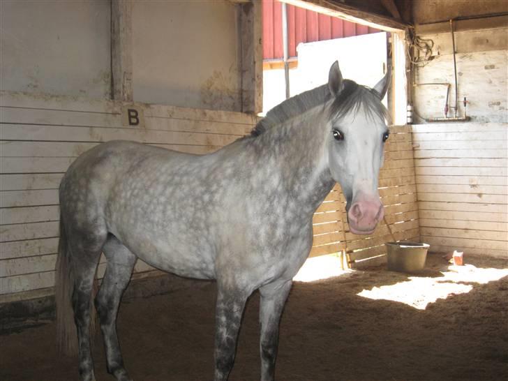 Charme, Selvtillid & Lækkert hår :P billede 65