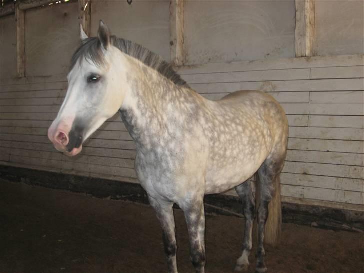 Charme, Selvtillid & Lækkert hår :P billede 67