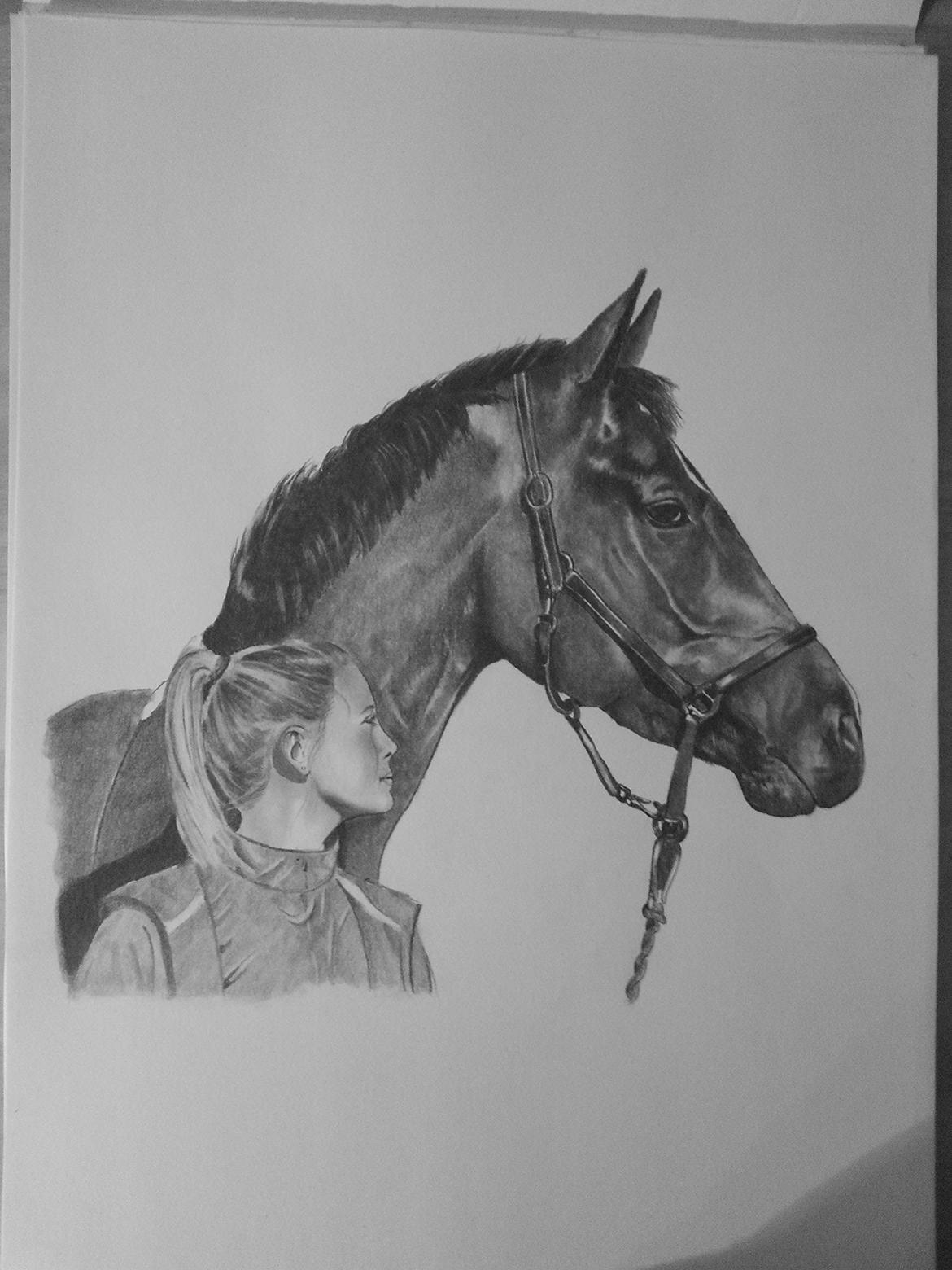 Tegninger, heste og et par hunde billede 14