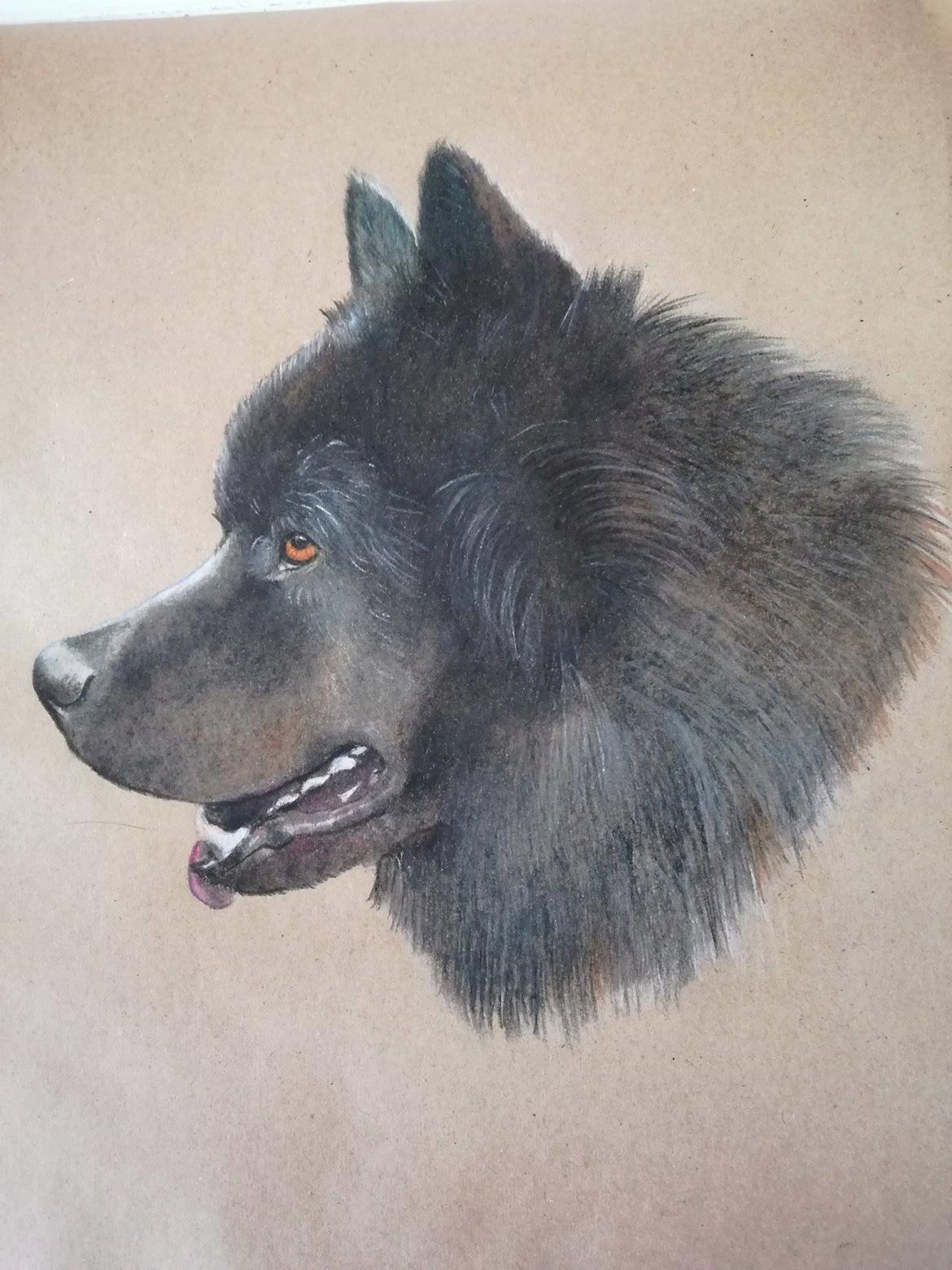 Tegninger, heste og et par hunde billede 3