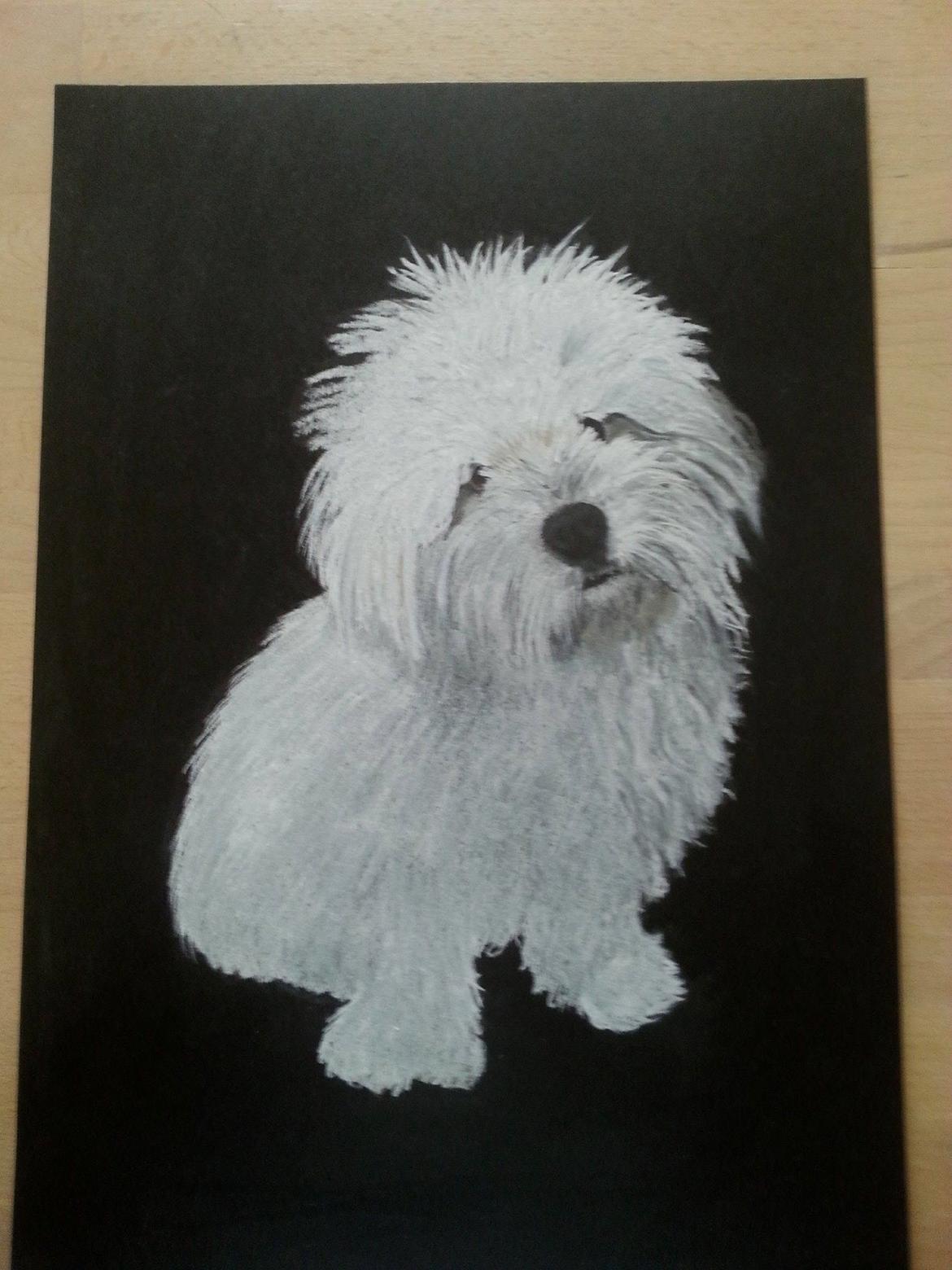 Tegninger, heste og et par hunde billede 12