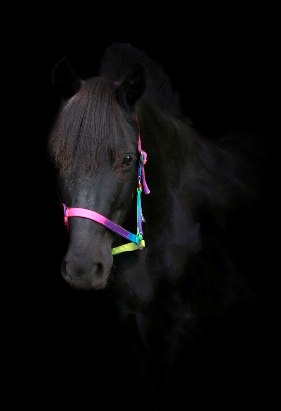 Lowkey billeder billede 3