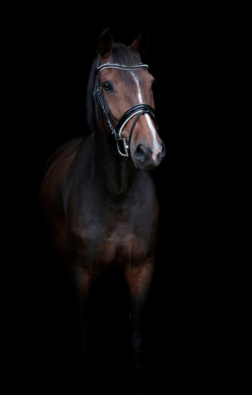 Lowkey billeder billede 4