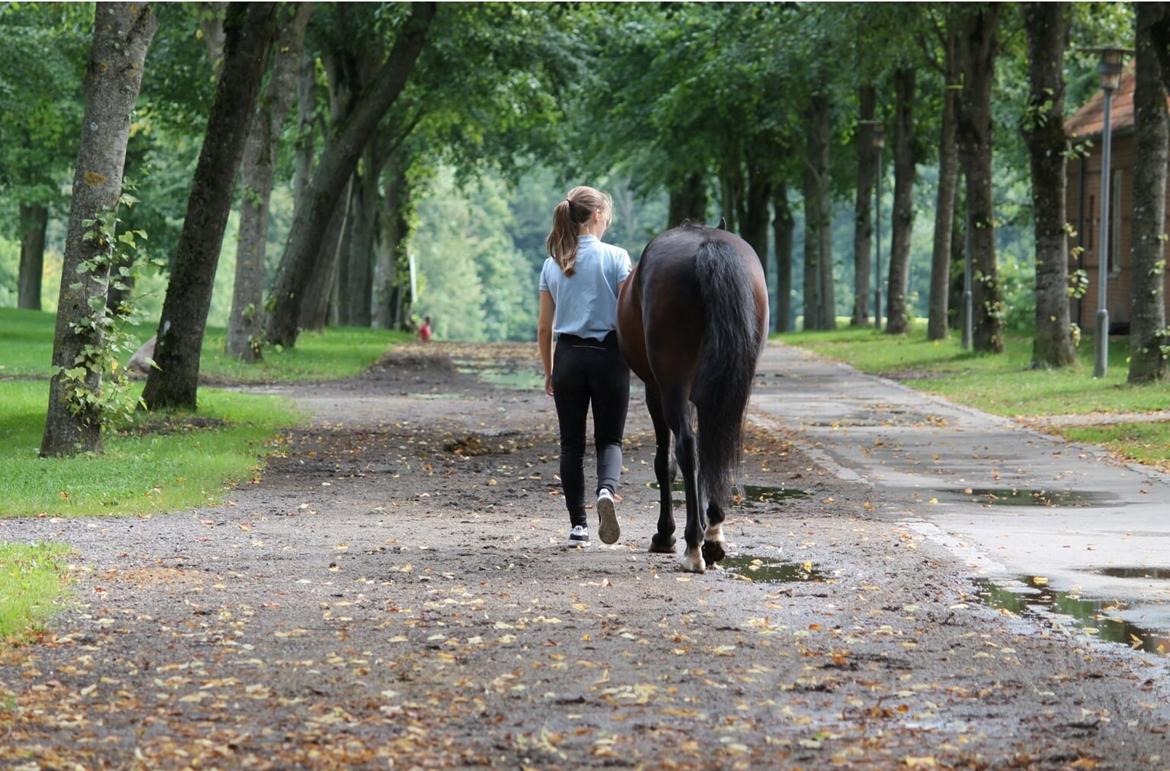 Seneste fotoshoot med Valle<3 billede 7