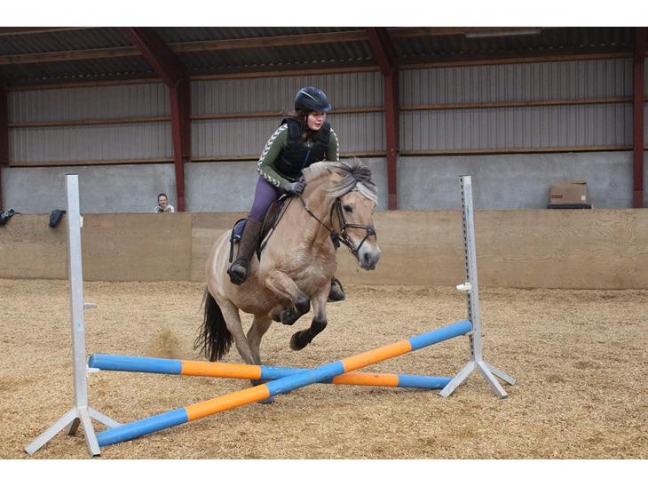 {{currentPhoto.altText}} billede {{currentPhoto.number}}