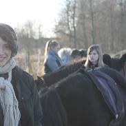 Julehygge ved Hestehøj Ridecenter