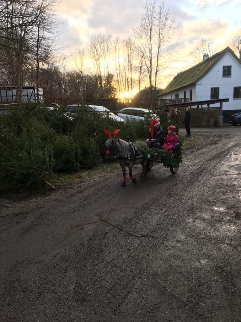 Julepladsen ved frederiksdal slot D 16-17/12-17 billede 1