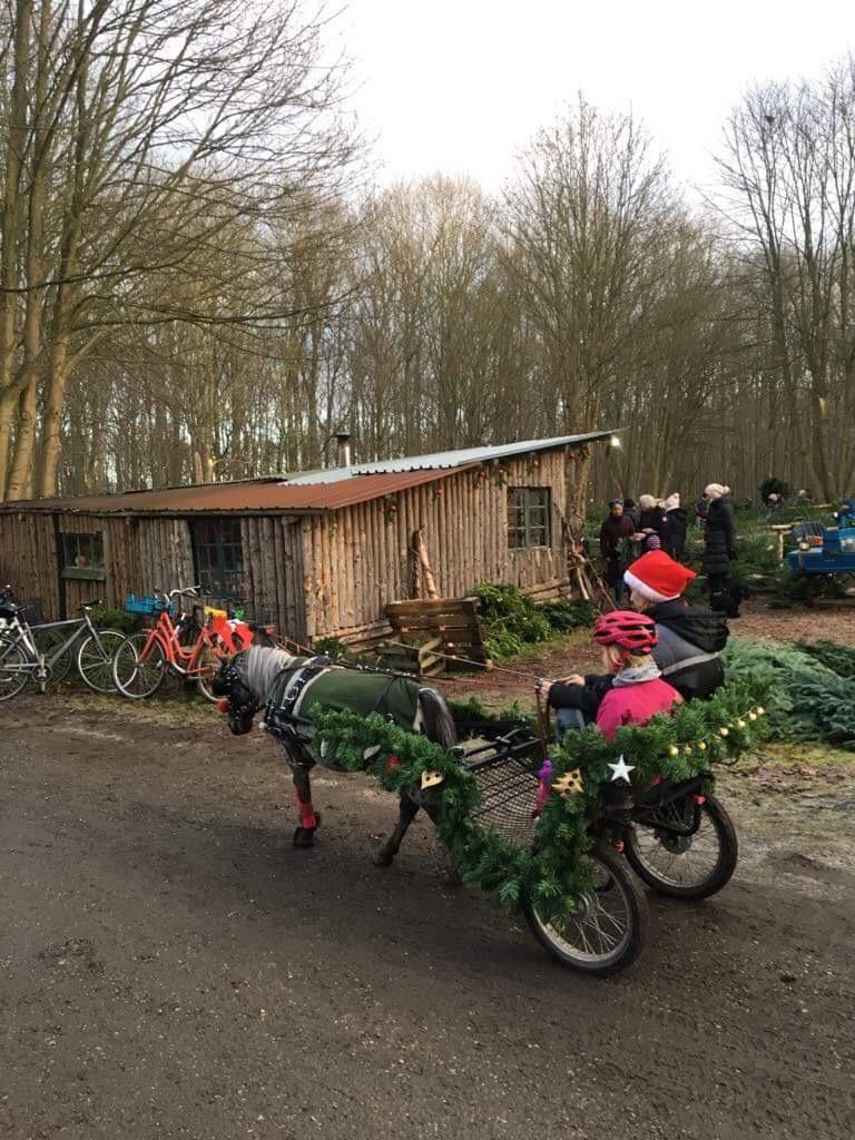 Julepladsen ved frederiksdal slot D 16-17/12-17 billede 2