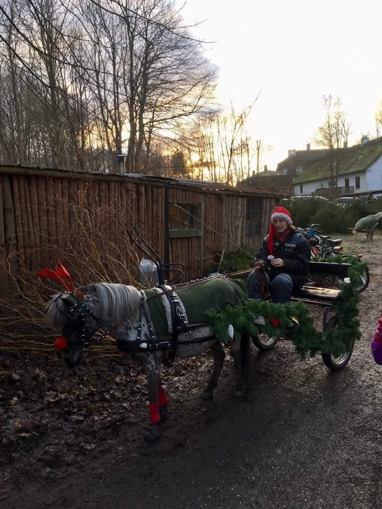 Julepladsen ved frederiksdal slot D 16-17/12-17 billede 3