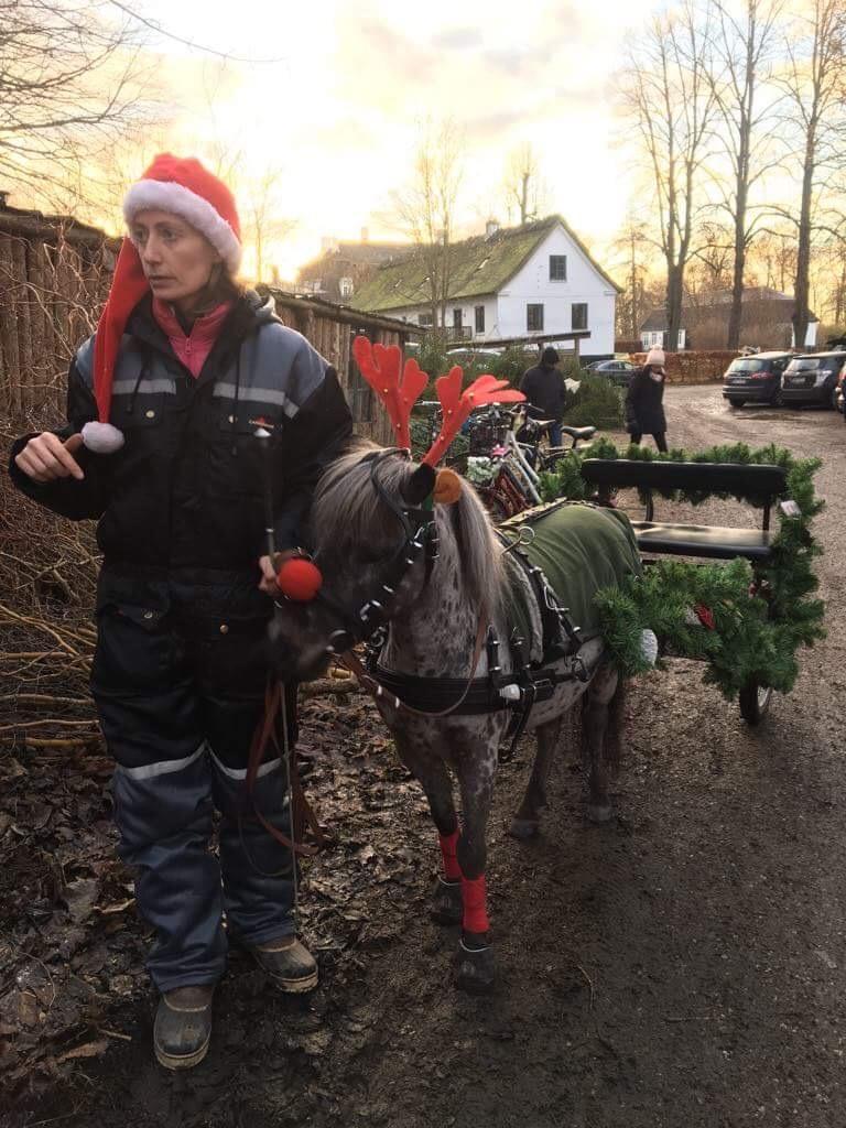 Julepladsen ved frederiksdal slot D 16-17/12-17 billede 4