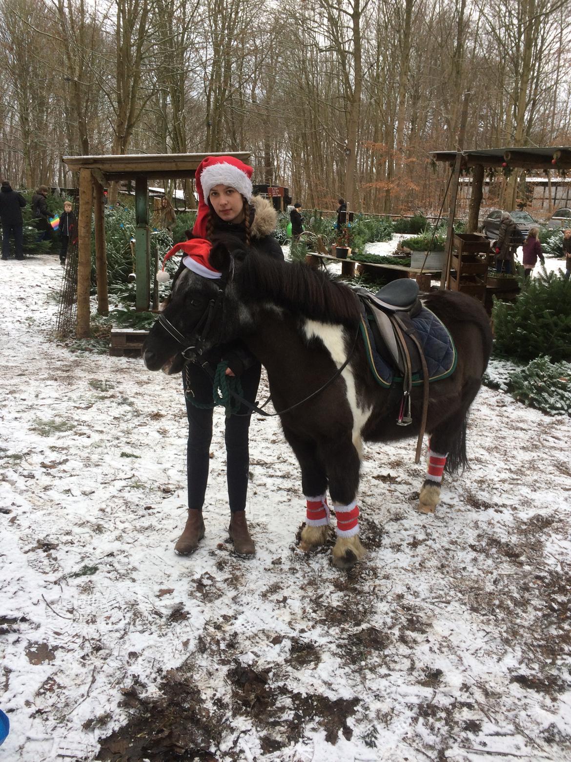 Julepladsen ved frederiksdal slot D 16-17/12-17 billede 6