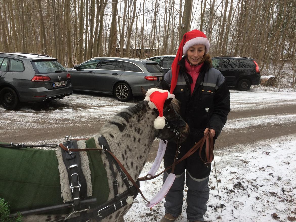 Julepladsen ved frederiksdal slot D 16-17/12-17 billede 5