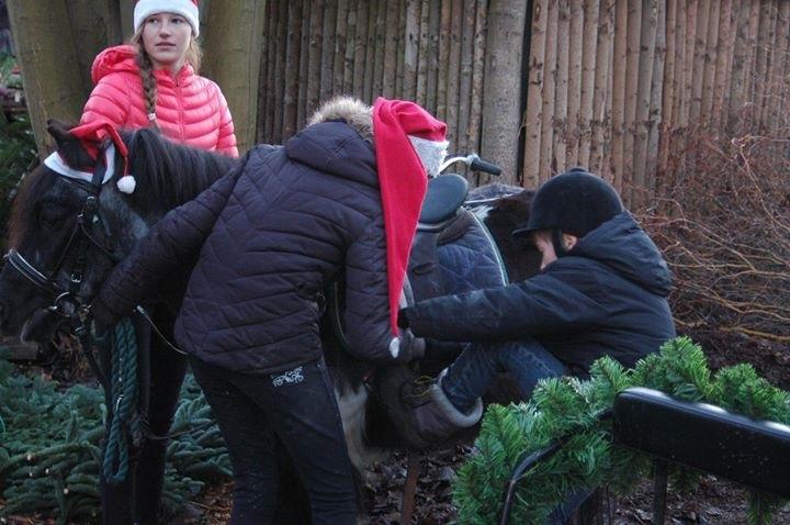 Julepladsen ved frederiksdal slot D 16-17/12-17 billede 7