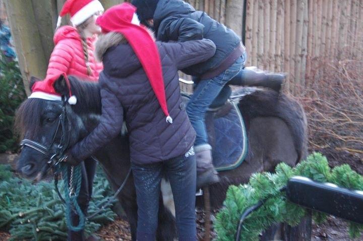 Julepladsen ved frederiksdal slot D 16-17/12-17 billede 8